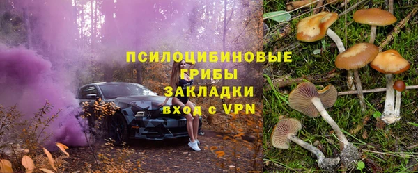 прущие крисы Богородицк