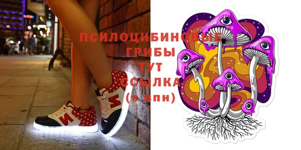 прущие крисы Богородицк