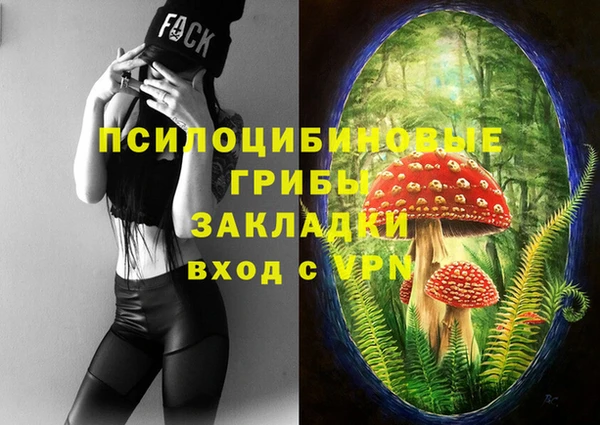 2c-b Богданович