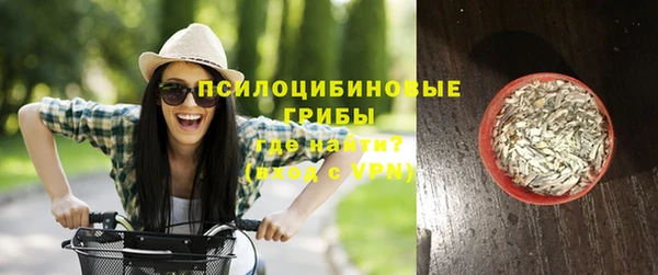 прущие крисы Богородицк