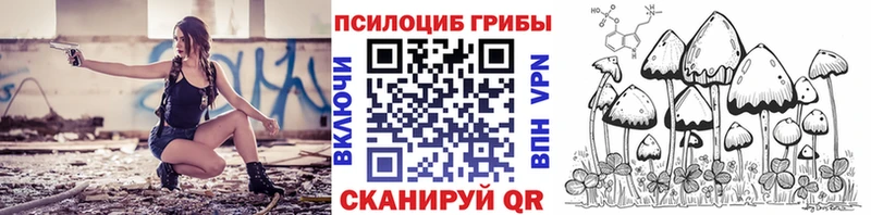 как найти   Фролово  Псилоцибиновые грибы MAGIC MUSHROOMS 
